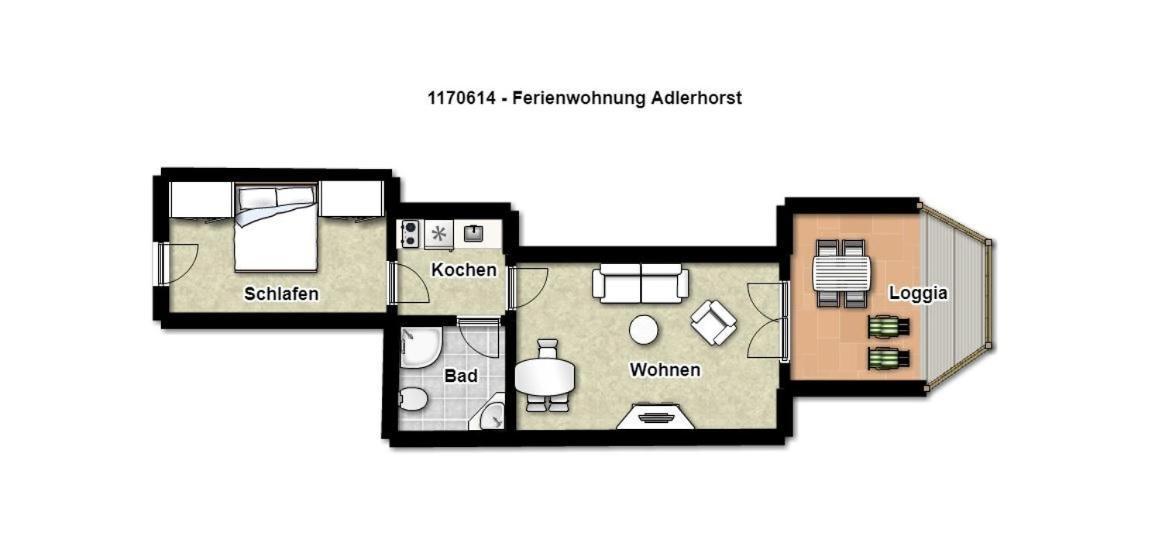 Seeadler Adlerhorst