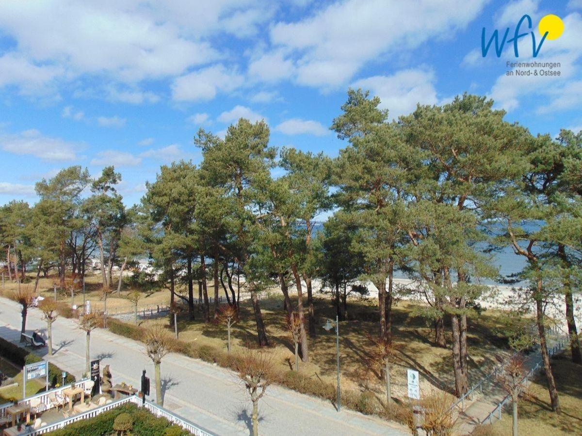 Seeadler Adlerhorst Apartment Ostseebad Binz